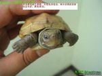 ڹ꣬ͼƬԴwww.yf1234.com